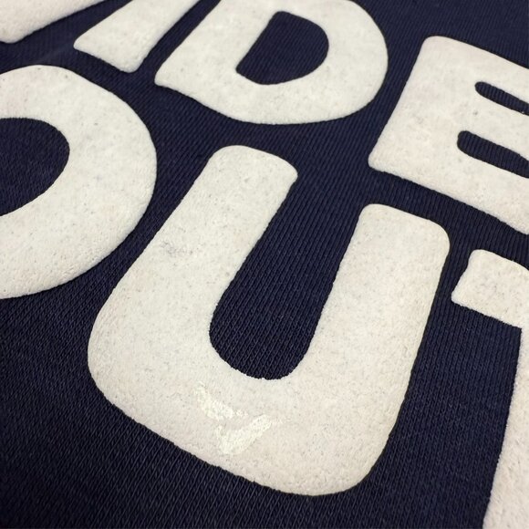 Dividetheyouth Full Zip Hoodie Puff Print Embroidered Blue Medium - Picture 10 of 10